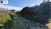 Tympaki Kreta, Tympaki Zitrusplantage 4.000 m² Grundstück kaufen